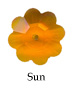 Sun: